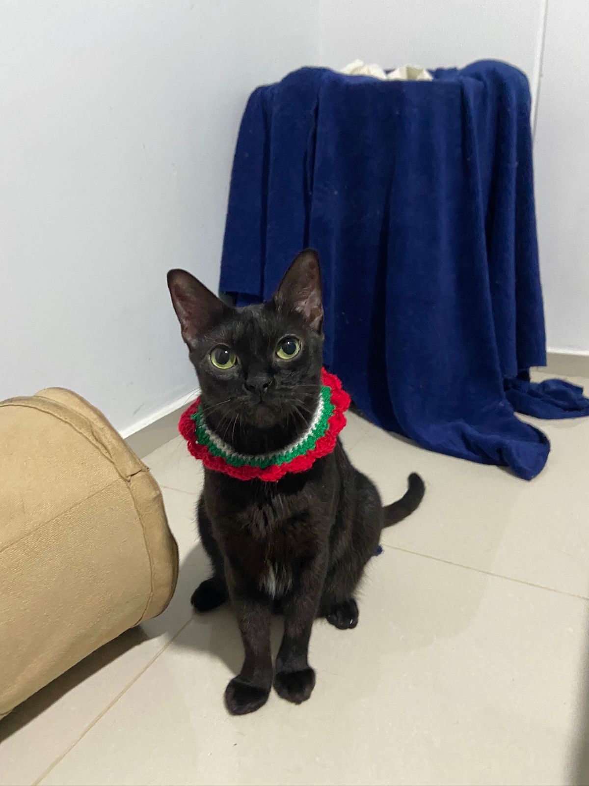 Collar tejido círculo